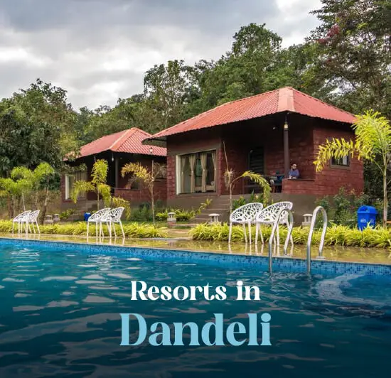 Explore Dandeli