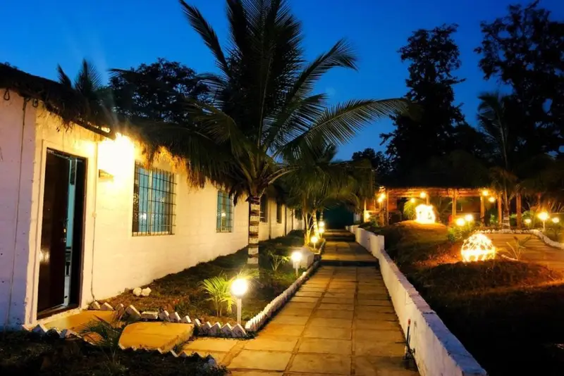 Jungle Beat Resort photo 13