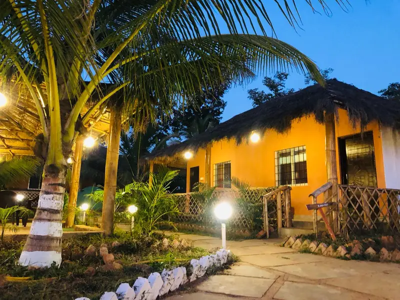 Jungle Beat Resort photo 9
