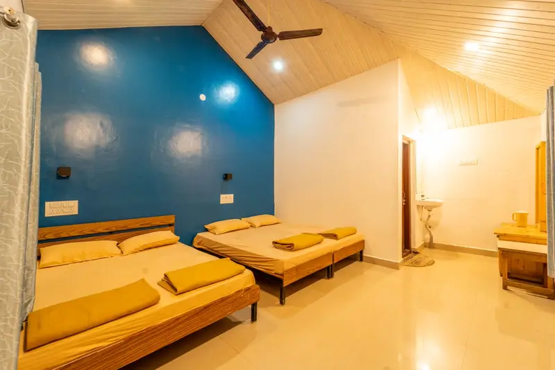 Jungle Beat Resort photo 4